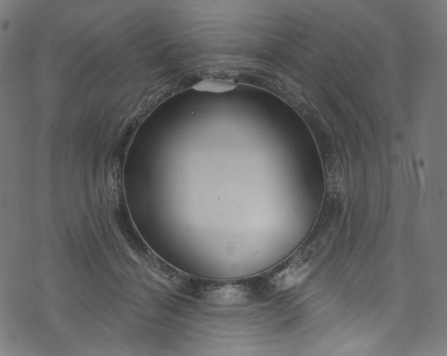 X0000073730460200608171233