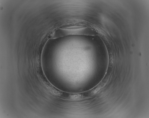 X0000073730461200608171233