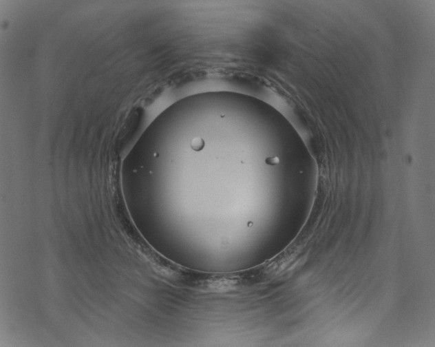 X0000073730462200608171233