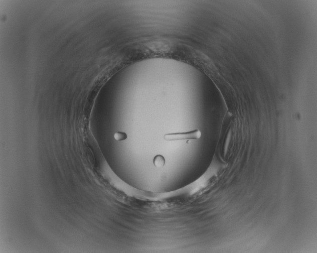 X0000073730464200608171233