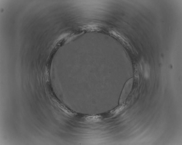 X0000073730465200608171233