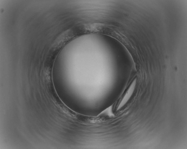 X0000073730466200608171233