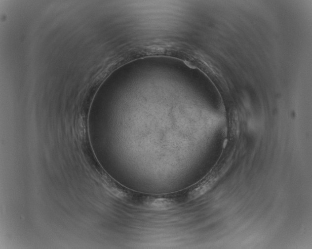 X0000073730467200608171233