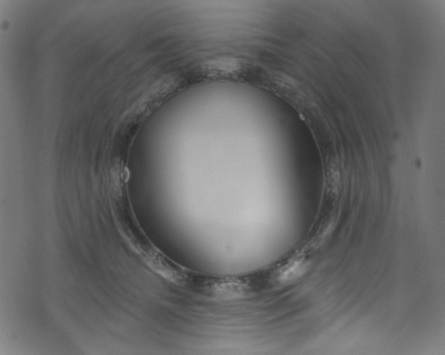 X0000073730468200608171233