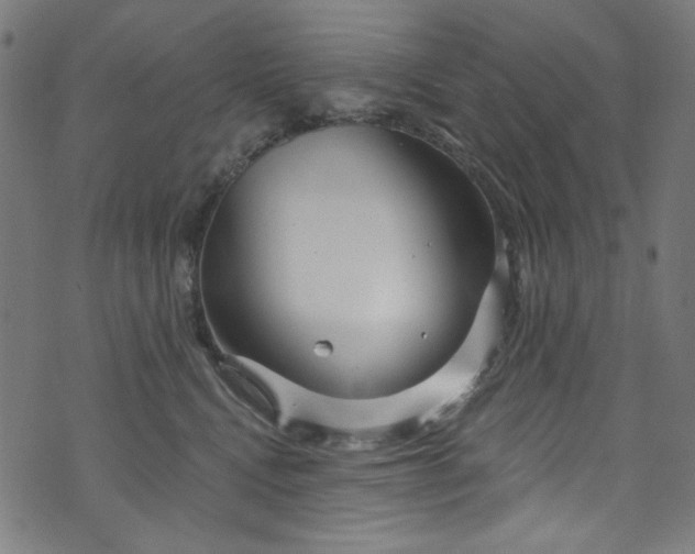 X0000073730472200608171233