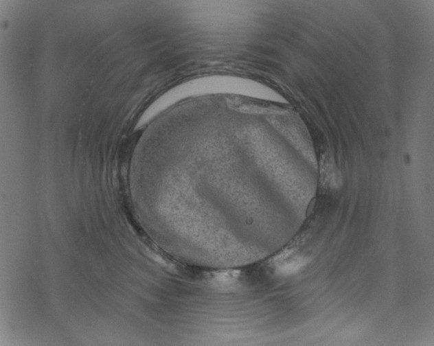 X0000073730474200608171233