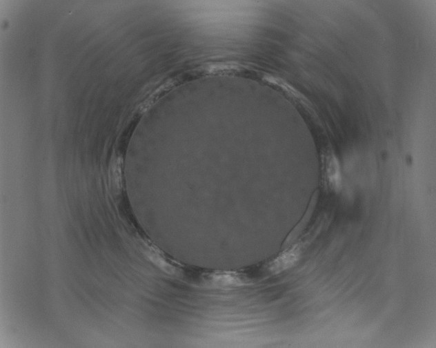 X0000073730475200608171233