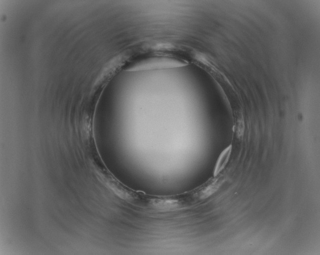 X0000073730476200608171233