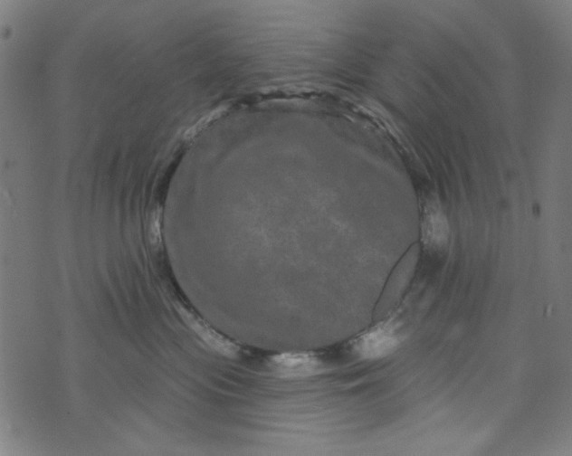 X0000073730477200608171233