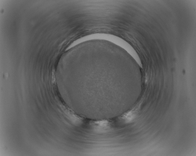 X0000073730478200608171233