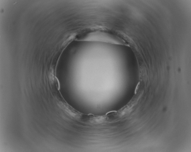 X0000073730479200608171233