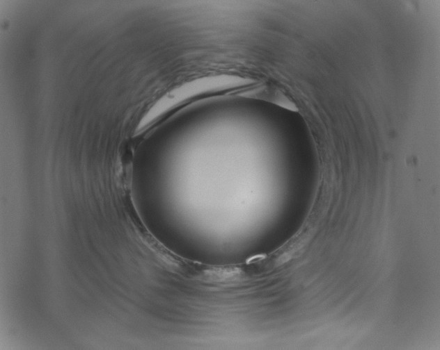 X0000073730480200608171233