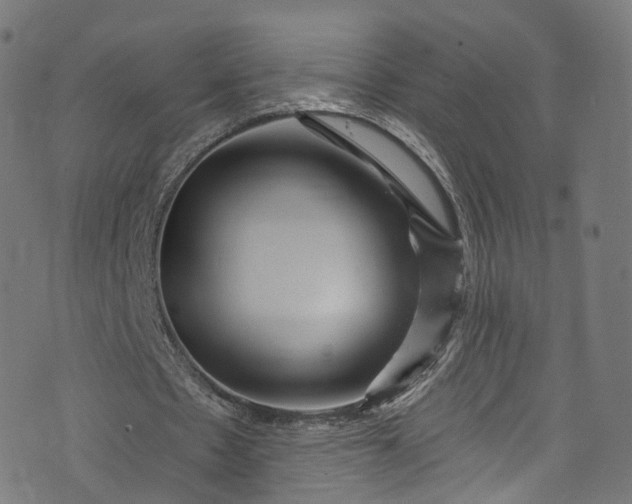 X0000073730481200608171232