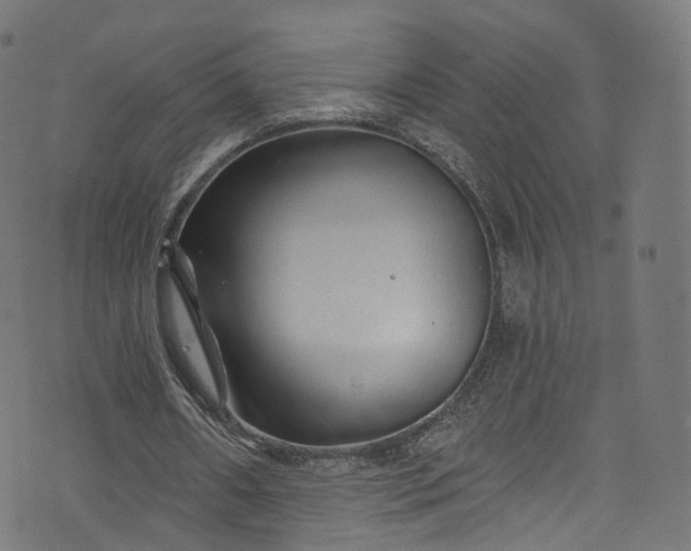 X0000073730482200608171232