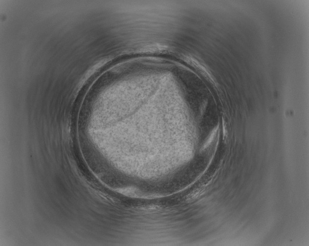 X0000073730483200608171232