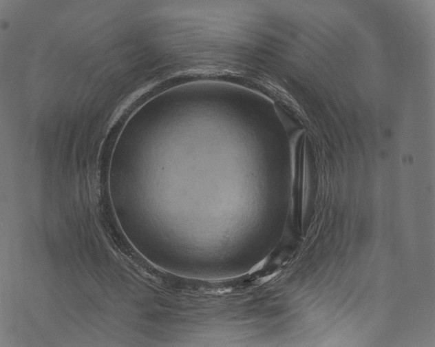 X0000073730484200608171232