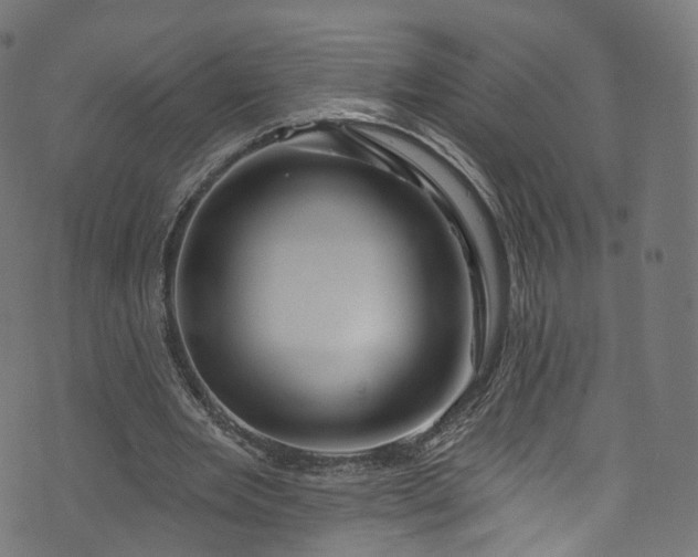 X0000073730485200608171232