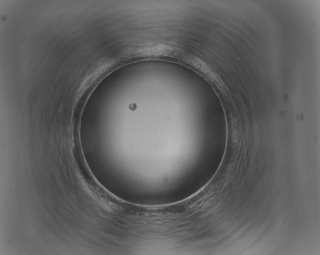 X0000073730486200608171232