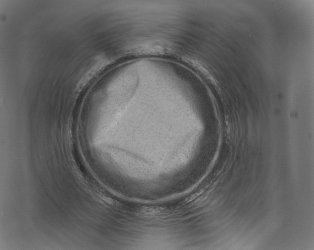 X0000073730487200608171232