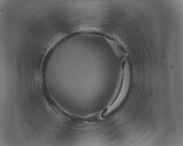 X0000073730488200608171232