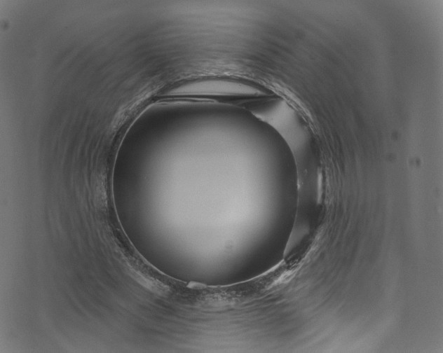 X0000073730489200608171232