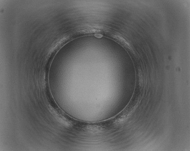 X0000073730490200608171232