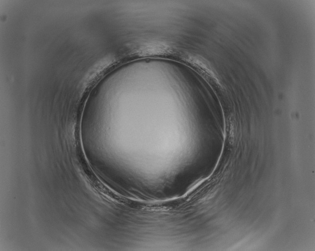 X0000073730491200608171232