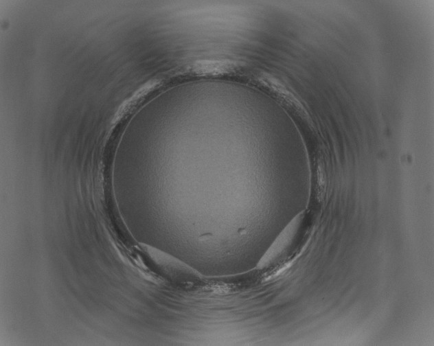 X0000073730492200608171232