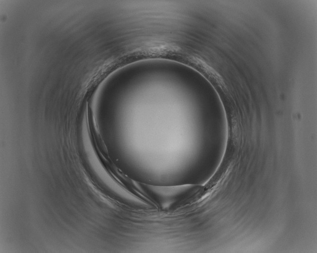 X0000073730493200608171232