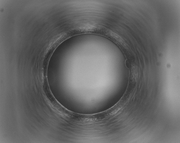 X0000073730494200608171232