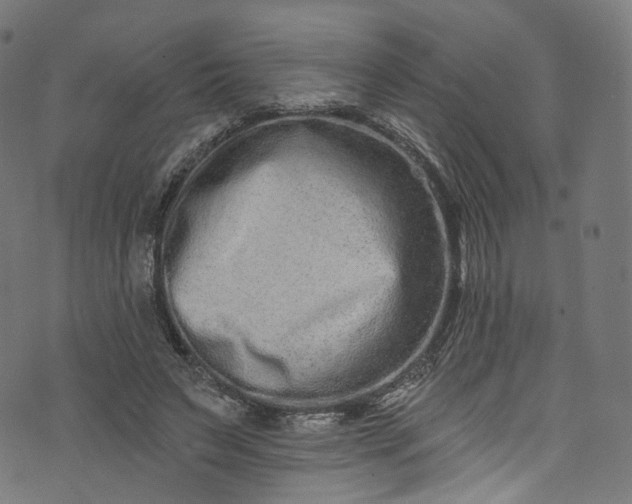 X0000073730495200608171232