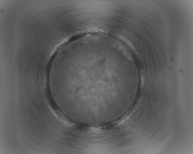 X0000073730496200608171232