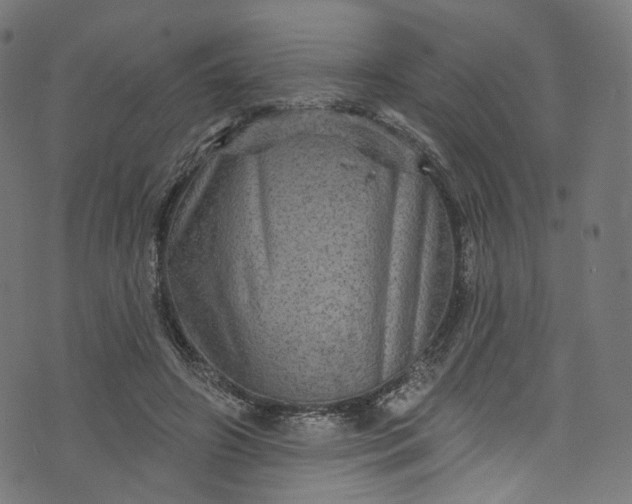 X0000073730498200608171232