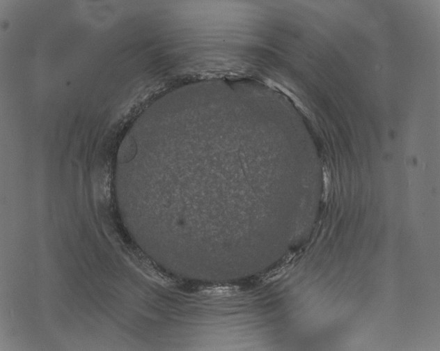 X0000073730499200608171232