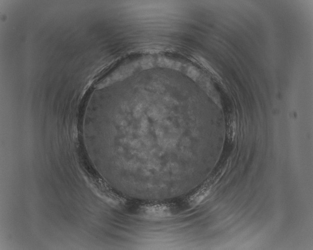 X0000073730500200608171232