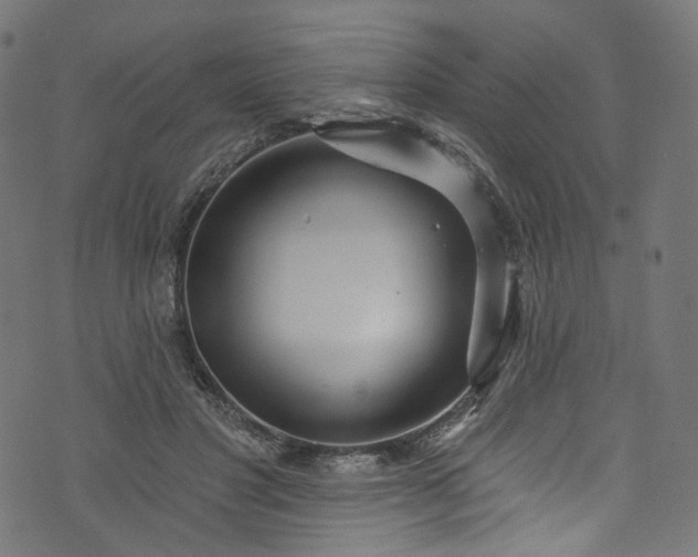 X0000073730501200608171232