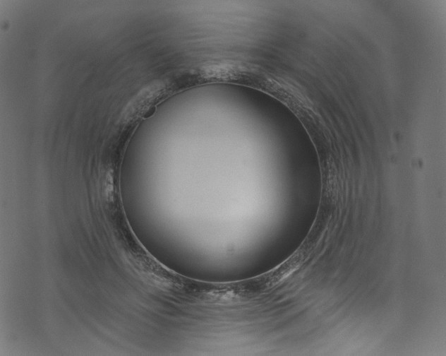 X0000073730502200608171232