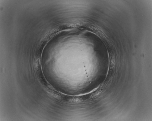 X0000073730503200608171232