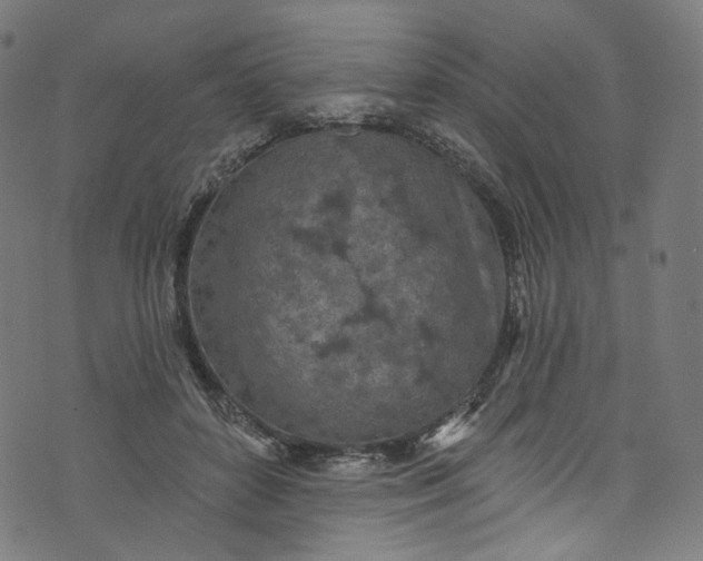 X0000073730504200608171232