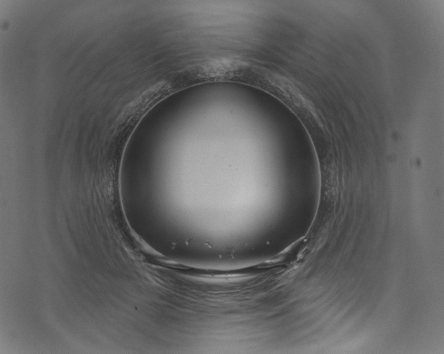 X0000073730505200608171232