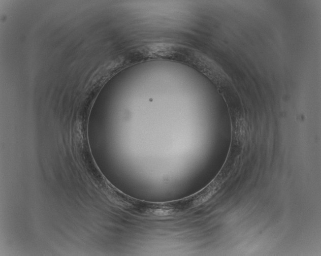 X0000073730506200608171232