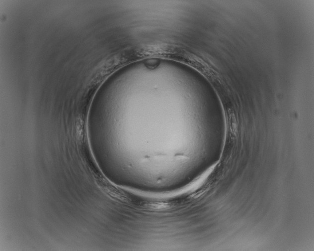 X0000073730507200608171232