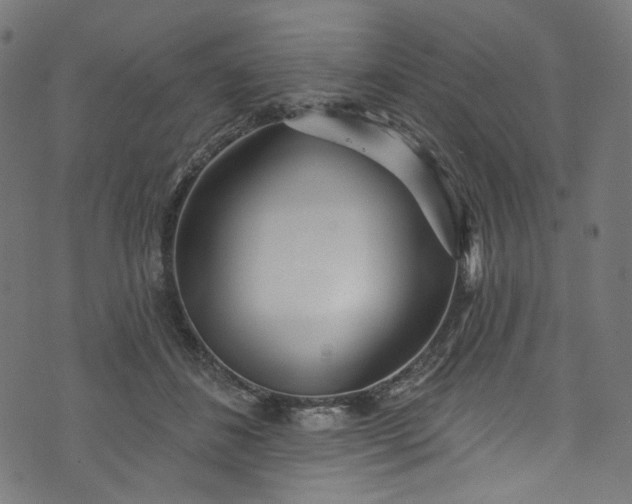 X0000073730508200608171232