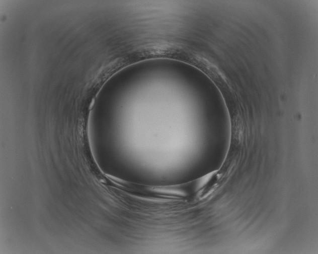 X0000073730509200608171232