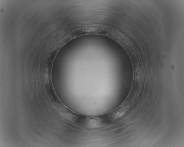 X0000073730510200608171232