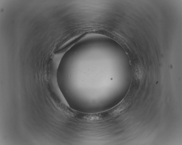 X0000073730512200608171232