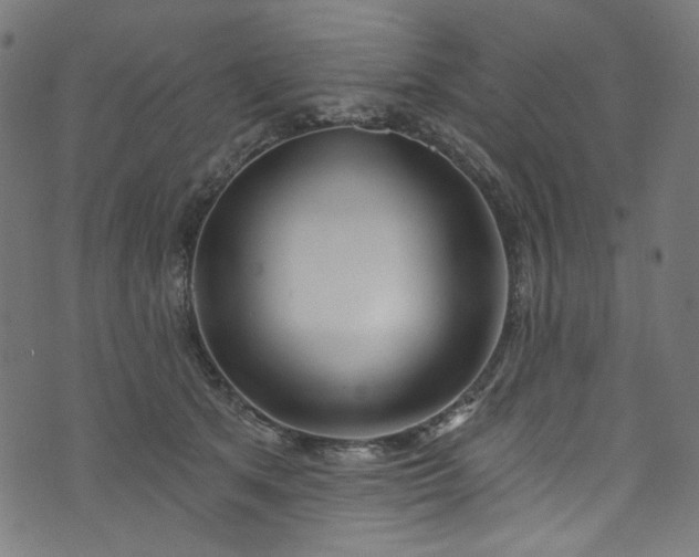 X0000073730513200608171232