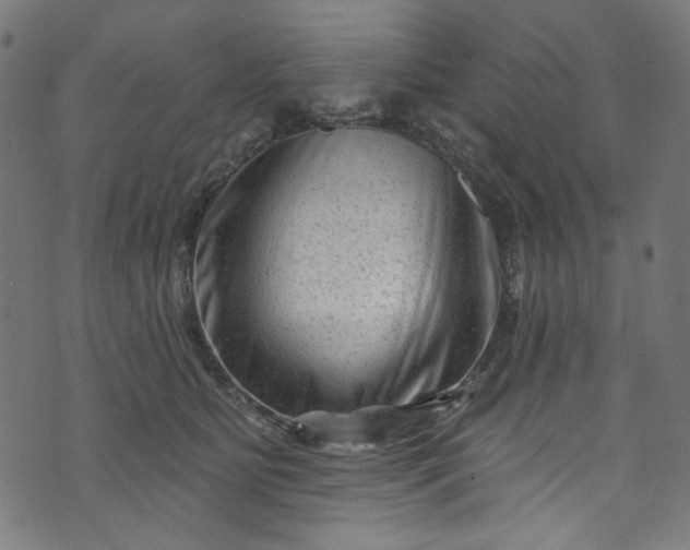 X0000073730515200608171232