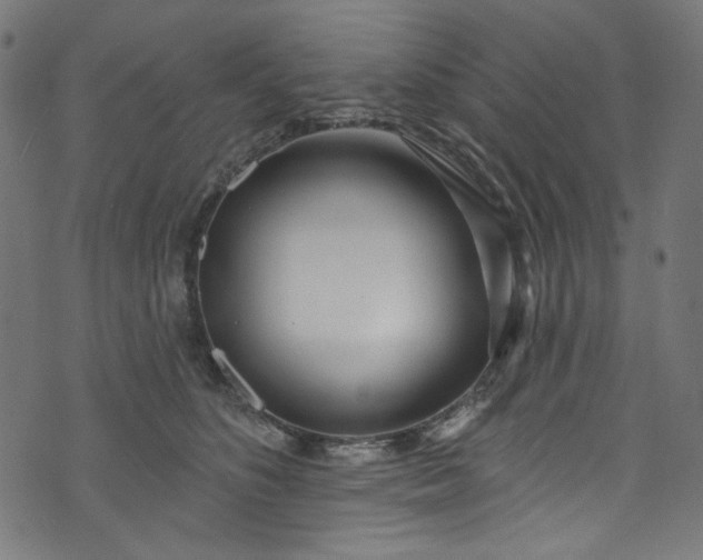 X0000073730516200608171232