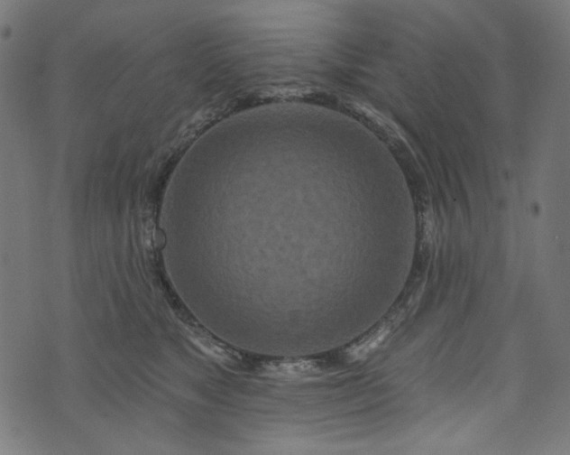 X0000073730517200608171232